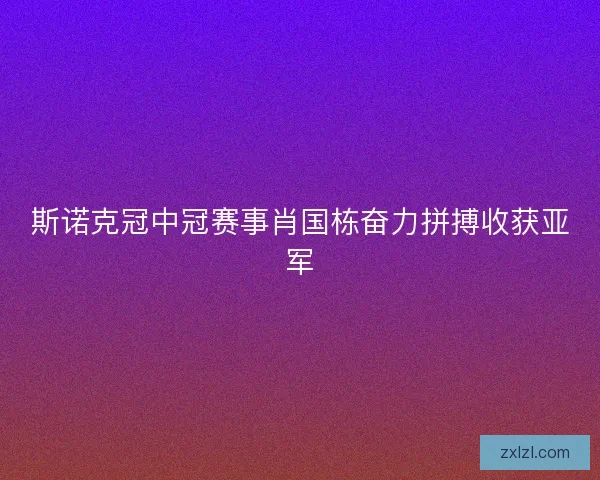 斯诺克冠中冠赛事肖国栋奋力拼搏收获亚军